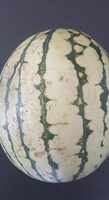 Pastèque
