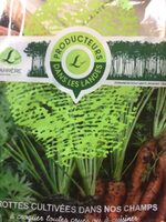 Carottes
