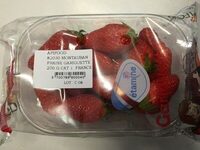 Fraises Gariguette Etamine