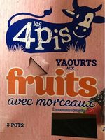 Yourts Aux Fruits Avec Morceaux
