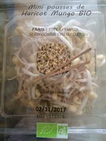 Mini pousses de haricots mungo