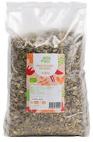 Graines de courge bio