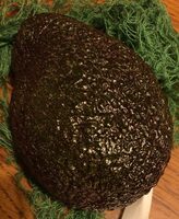 Avocat Hass