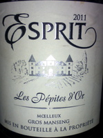 Esprit 2011