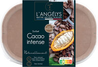 Sorbet Cacao intense 500G/750ml