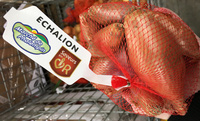 Echalion