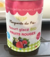 Yaourt glacé bio