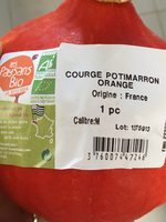 Courge potimarron orange