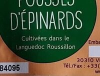 Salade jeunes pousses d'épinards
