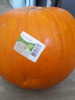Courge