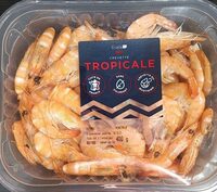 Crevette tropicale