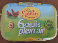 6 Gros oeufs de plein air GESLIN
