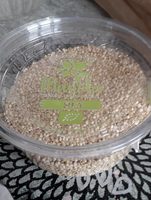 Graines de quinoa blanc bio