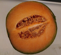 Melon