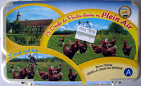 15 Oeufs de Poules élevés en Plein Ait