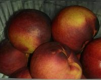 Nectarine jaune