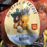 Echalote issue du semi