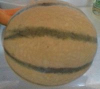 Melon