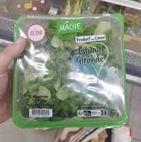 Mâche