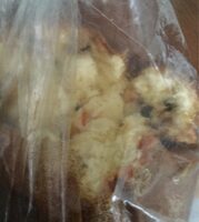 Panettone
