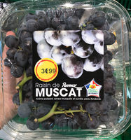 Raisin de Florence Muscat