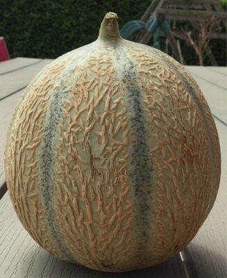 Melon