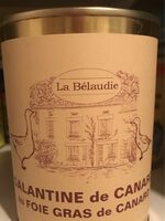 Galantine de canard au foie gras de canard
