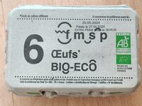 Oeufs