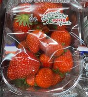 Fraises charlotte