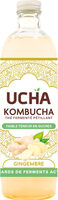 Kombucha Energy Gingembre