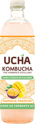 Kombucha mangue passion