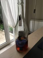 Pomme cassis