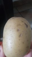 Pomme de terre