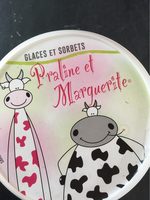 Sorbet et glace noix de coco