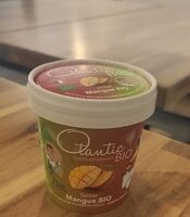 Sorbet Mangue BIO