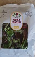 Mélange de Jeunes Pousses