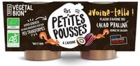 Yahourt végétal avoine cacao praliné