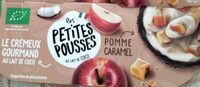 Dessert végétal au lait de coco pomme caramel bio