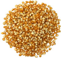 Maïs pop corn bio origine France en sachet kraft