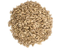 Graines de tournesol bio en sachet kraft