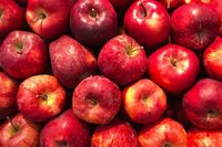 Pur jus de pomme bio