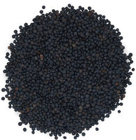 Lentilles noires beluga bio origine France en sachet kraft