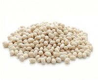 Haricots coco blancs bio origine France en sachet kraft