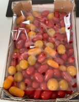 Mélange de Tomates