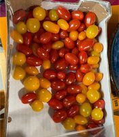 Mélange de tomate du maroque