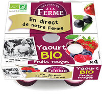 Yaourt aux fruits rouges