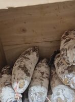 Saucisson sec artisanal