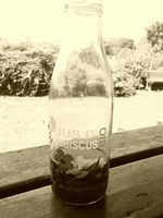 Jus d'hibiscus Bio au gingembre