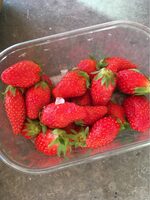 Fraises