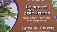 Infusion thym citron sarriette menthe poivrée